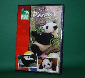Babypanda