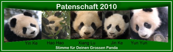 PatenschaftBannerD1