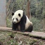 TaiShan_00164