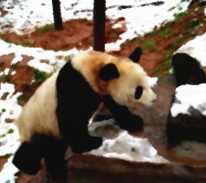 panda-gemalt