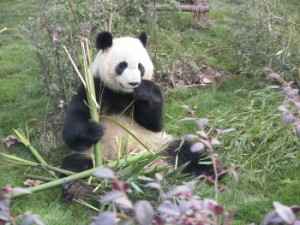 china201203D089