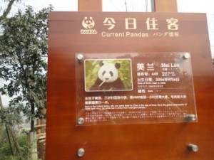 china201203VBB033