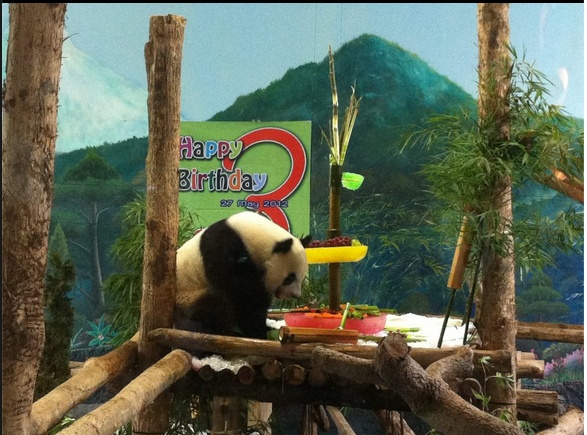 Lin Ping feiert Geburtstag