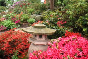 Natur2005-05-11