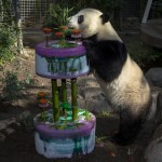 YunZi-Geburtstag2012
