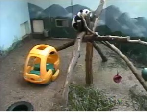 PO