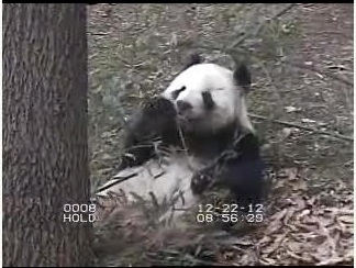 Update aus Washington Zoo