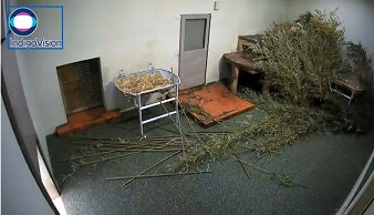 verloren1