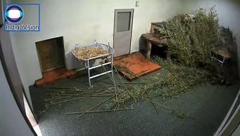 verloren3