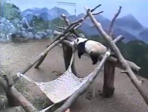 SchlafenAtlanta