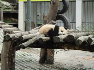 Ruhe3