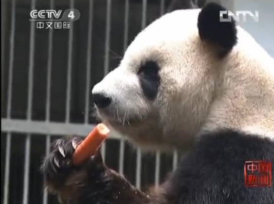 Im Fuzhou Zoo