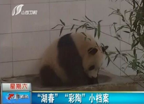 News Taiyuan Zoo