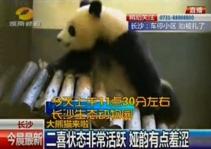changsha1