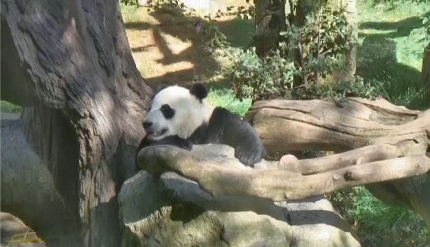 Yun Zi wird 4 Jahre alt