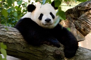 Sep5-Tian