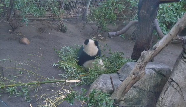 Mr. Wu und das Wasser