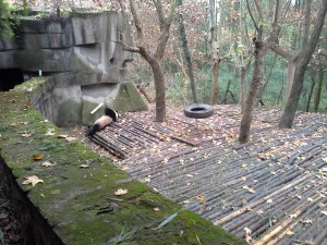 20131123_044142