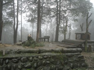 Nebel3