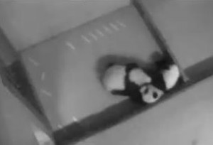 titan2