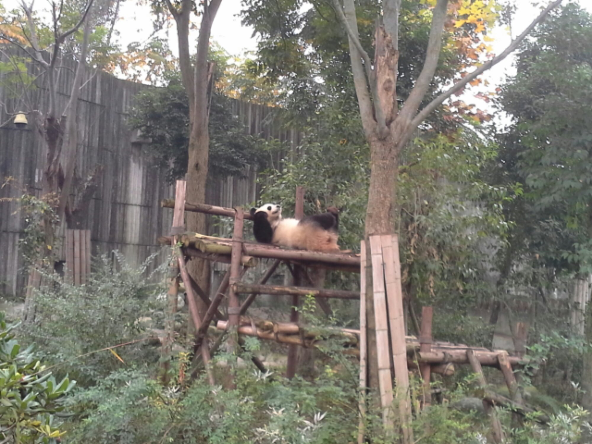 20131122_035351.jpg image