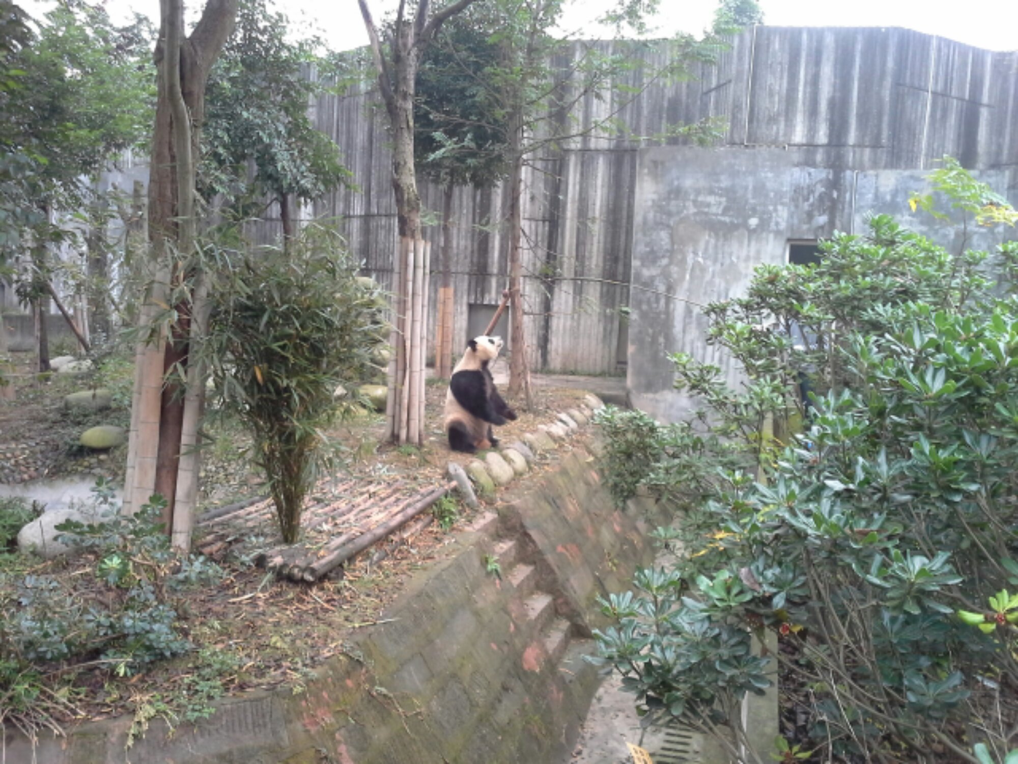 20131122_040128.jpg image