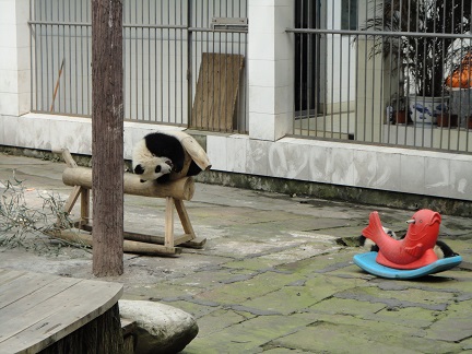 Verspielte Stunden der Großen Pandas