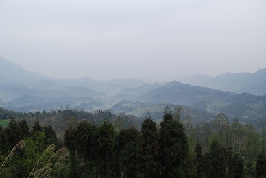 Duo Duo kehrt nach Sichuan zurück