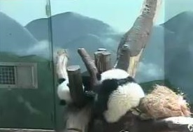 Mei Huan liebt Eis