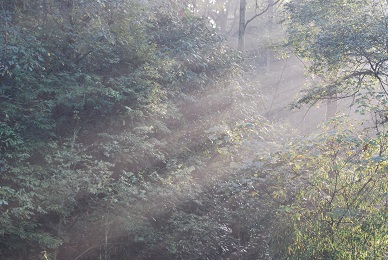 Frühling in Huaying Shan