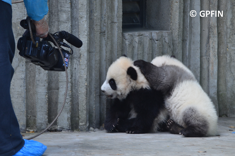 Pandapia-Team bei der Arbeit