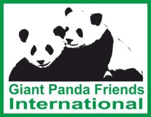Giant Panda: Momente der Ausstellung