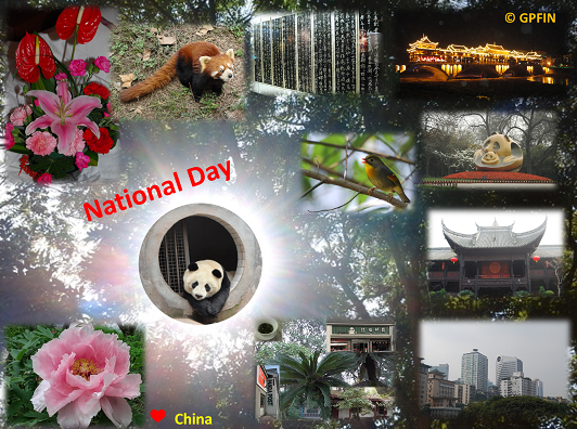 Giant Panda: National Day