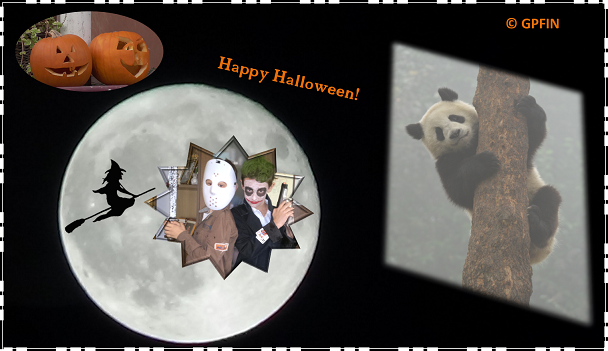 Giant Panda: Halloween